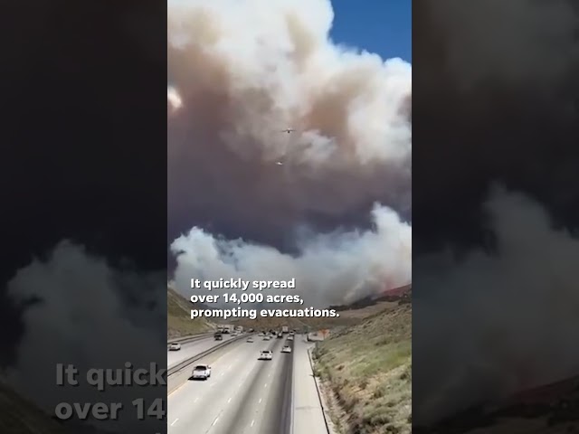 ⁣Firefighters battle quickly spreading brush fire in California #Shorts