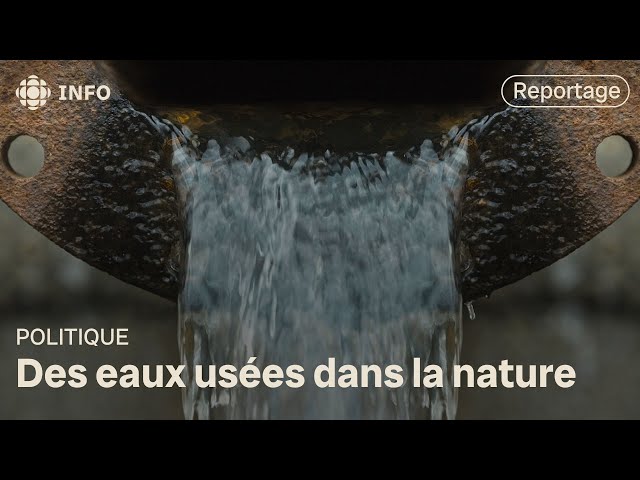 ⁣77 municipalités du Québec jettent leurs eaux usées dans la nature