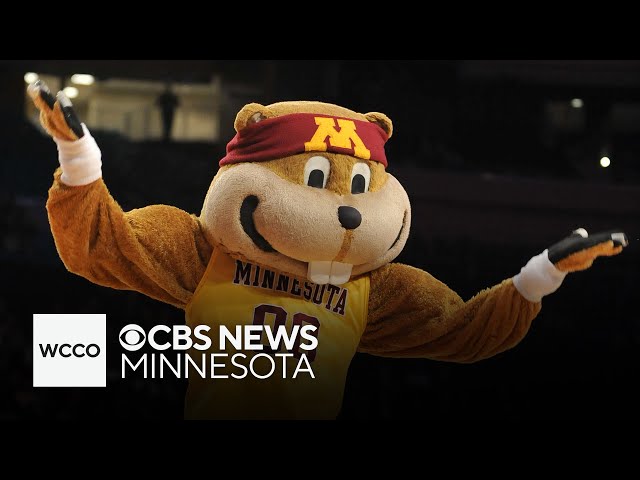 ⁣Which Minnesota mascot reigns supreme?