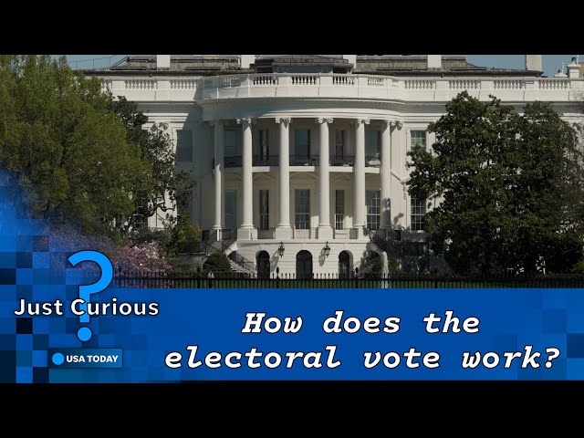 ⁣How does the Electoral College work? Here's what to know | JUST CURIOUS