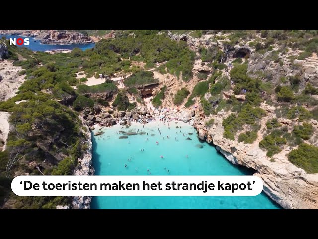 ⁣Spanjaarden willen niet dat jij naar Mallorca komt