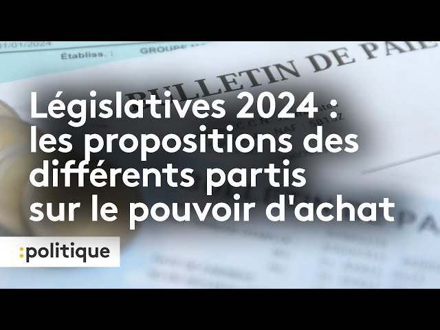 ⁣Législatives 2024 : les propositions des différents partis sur le pouvoir d’achat