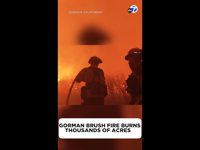 Wind-driven brush fire in Gorman grows to over 14K acres