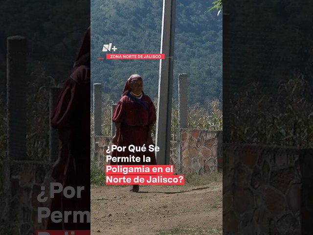 ⁣¿Por qué se permite la poligamia en el norte de Jalisco? #nmas #jalisco #shorts