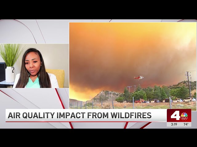 ⁣Wildfires pose health risks to Southern California residents
