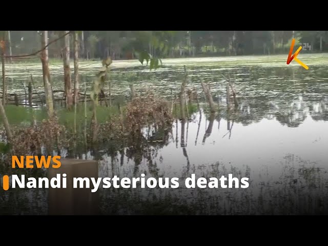 ⁣Bodies of three children from Kimarich primary school found in a swamp