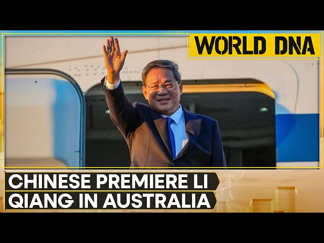 ⁣Beijing-Canberra's 'panda and wine' diplomacy | WION World DNA