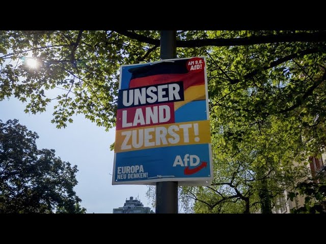 ⁣Una alianza social pide la prohibición de la ultraderecha alemana por reproducir terminología nazi