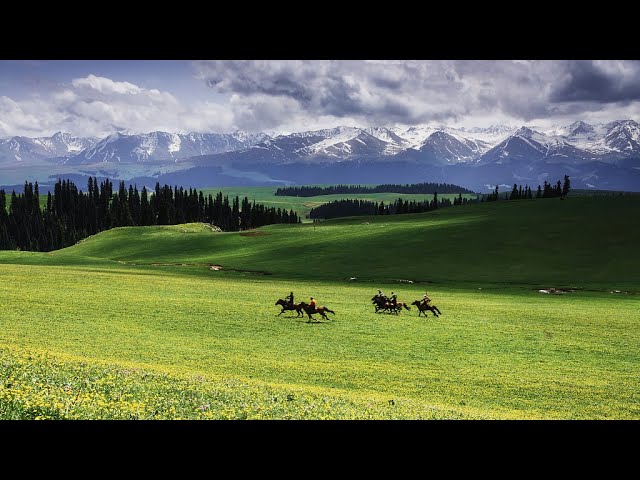 ⁣Live: Enchanting scenery of Kalajun Grassland in NW China's Xinjiang – Ep. 2