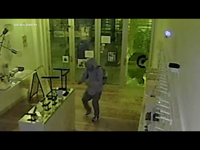 ⁣Thief smashes his way into Santa Monica jewelry store, steals $4,000 worth of items