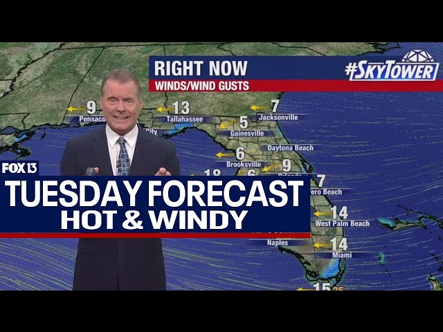 ⁣Tampa weather | Hot and windy
