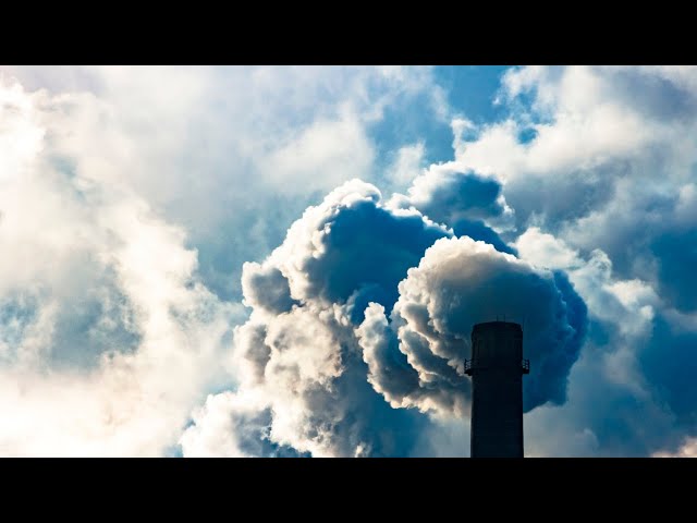 Cost of living pressures throw 2030 emissions targets ‘out the window’