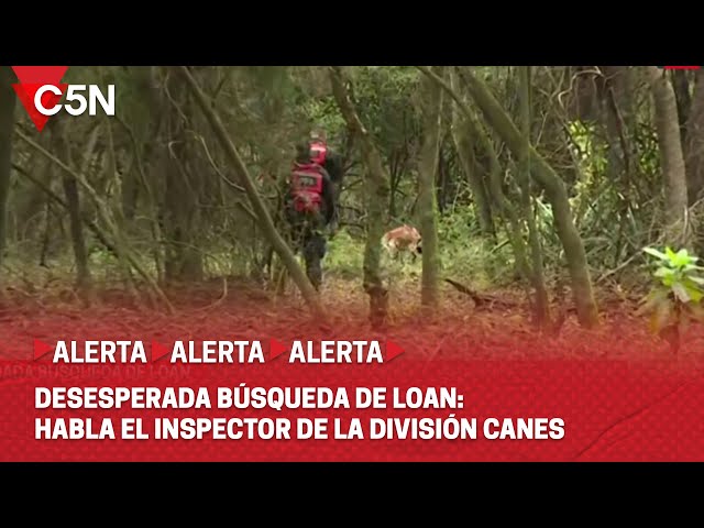 ⁣DESESPERADA BÚSQUEDA de LOAN: HABLA el INSPECTOR de la DIVISIÓN de CANES de POLICÍA FEDERAL