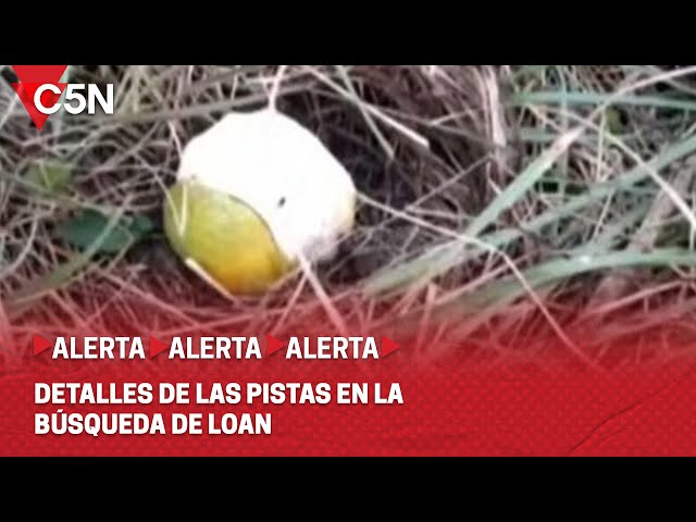 DESESPERADA BÚSQUEDA de LOAN: HALLARON una NARANJA a MEDIO PELAR y una MANCHA de SANGRE