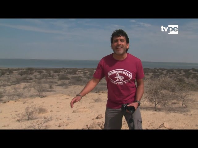 Reportaje al Perú: Sechura, la magia del desierto (16/06/2024) | TVPerú