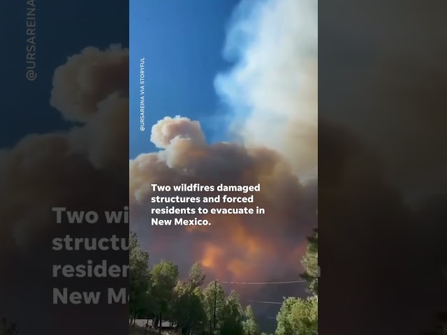 ⁣Wildfires burn thousands of acres in New Mexico #Shorts