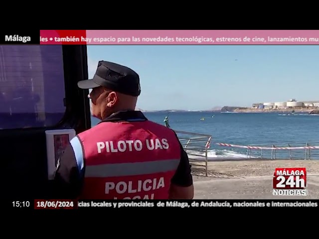 Noticia - Los tiburones avistados en la orilla de Telde "no suponen un peligro para los bañista