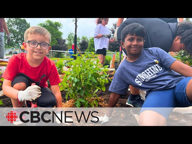 ⁣Quebec school swaps pavement for dirt to fight hunger, heat and climate change