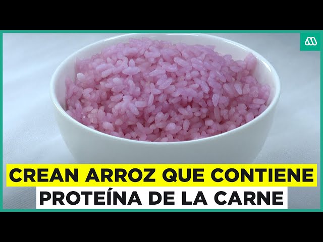 ⁣¿Lo comerías? Científicos crean arroz con proteínas de la carne