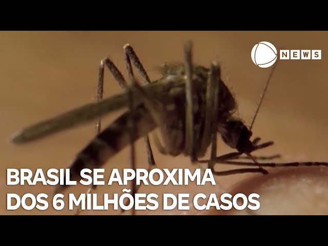 ⁣Brasil se aproxima dos 6 milhões de casos prováveis da dengue