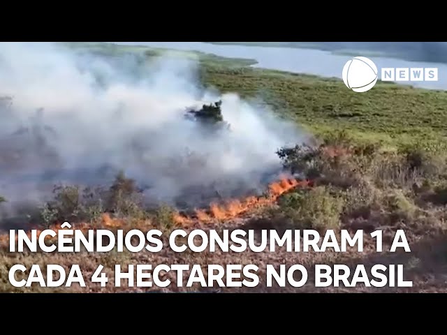 ⁣Incêndios consumiram 1 a cada 4 hectares de terra no Brasil