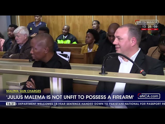 Malema Gun Charges | 'Julius Malema is not unfit to possess a firearm' - Expert