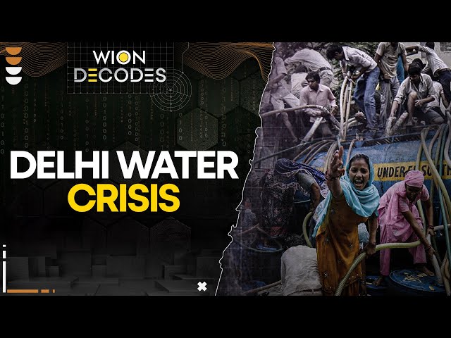 ⁣DELHI WATER CRISIS I Chasing tankers and long queues for every drop I WION DECODES