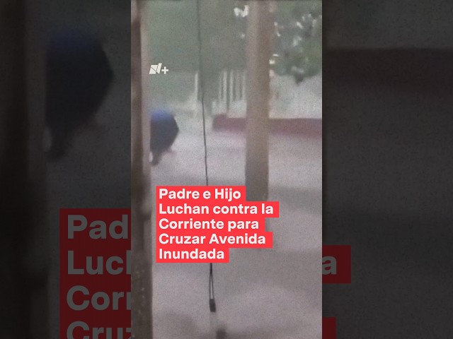 Padre e hijo arriesgan la vida para cruzar avenida inundada en Campeche - N+ #Shorts