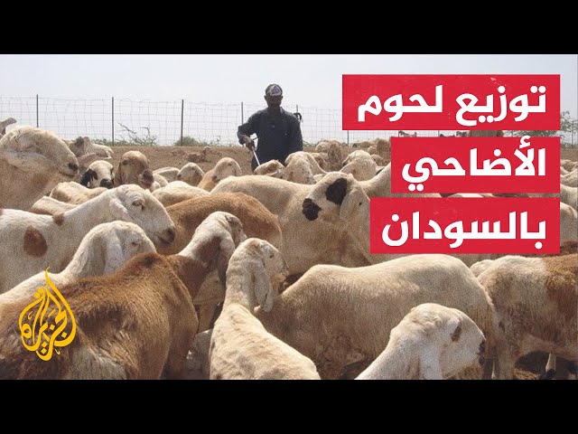 مبادرة لتوزيع لحوم الأضاحي على الأسر المتضررة بالسودان