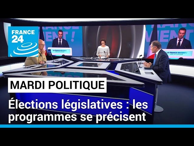 Élections législatives : les programmes des candidats se précisent • FRANCE 24