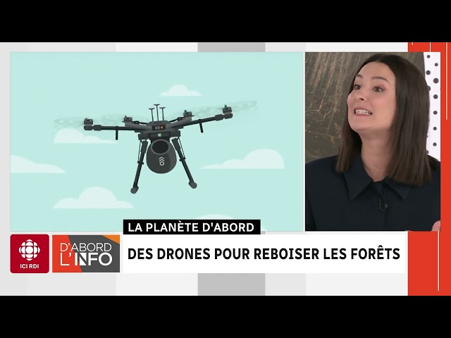 Le reboisement des forêts passerait-il par les drones ? | D'abord l'info