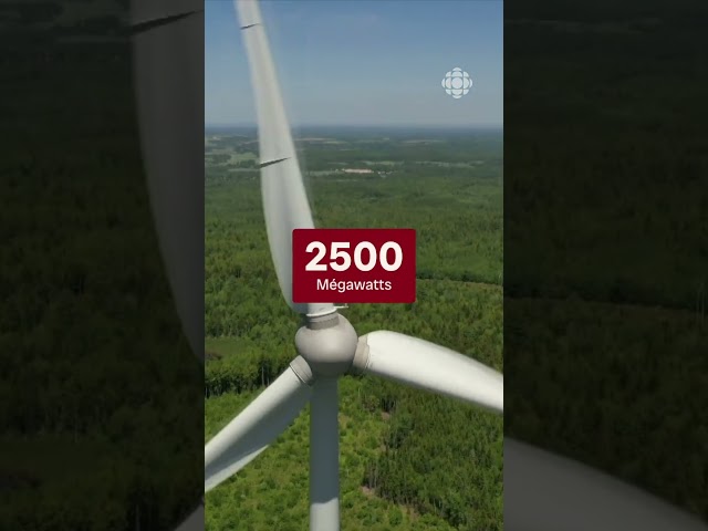 ⁣Hydro-Québec projette un mégaparc éolien au nord-ouest du lac Saint-Jean  | Vidéojournal