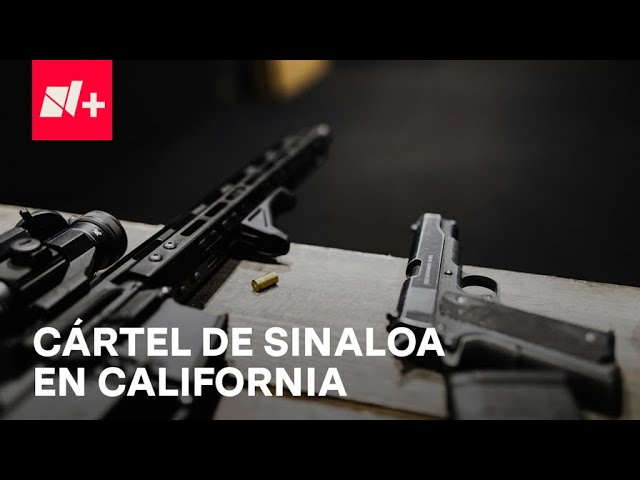 ¿Por qué el estado de California es importante para el Cártel de Sinaloa? - Despierta