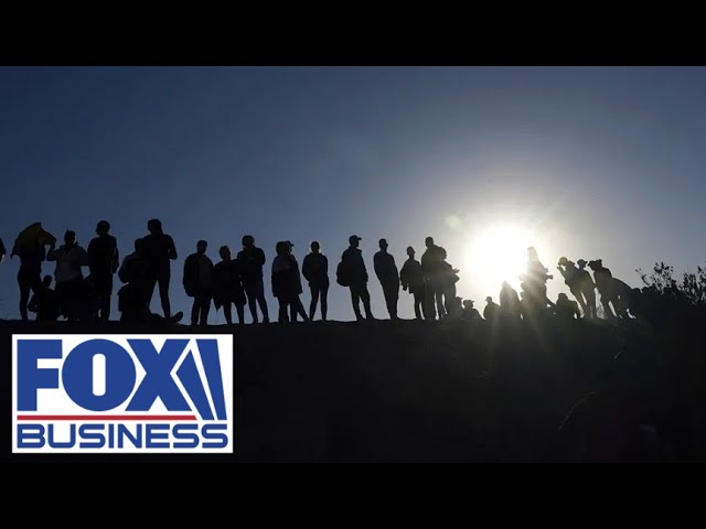 ⁣'SHADOWS OF SOCIETY': Border expert explains how illegals get work