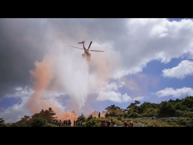 Grèce : un incendie au sud-est d’Athènes attisé par des vents violents