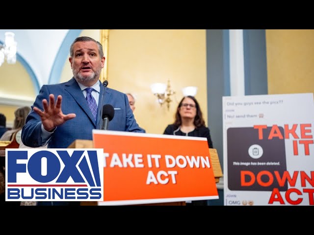 Sen. Ted Cruz on 'sick and twisted pattern' of AI cyber exploitation schemes