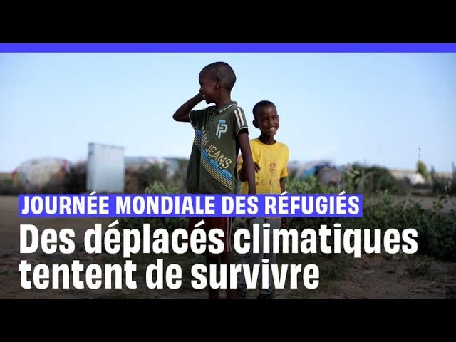 ⁣Journée mondiale des réfugiés : Les déplacés climatiques du Somaliland se battent pour leur survie