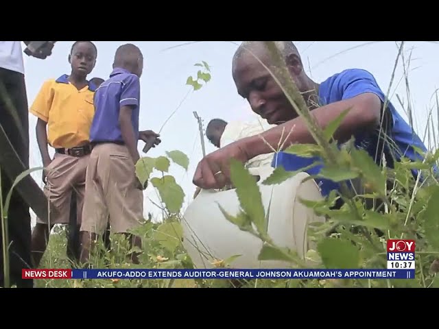 ⁣Sustainable Farming: Initiative launched in Ghana's Sekyere Afram Plains