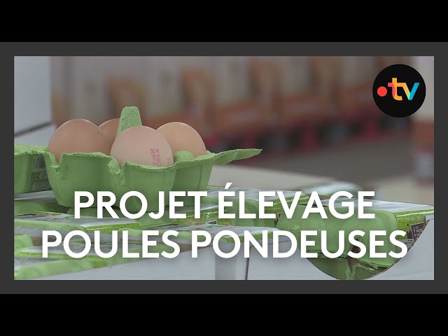 ⁣Polémique autour d'un projet d'élevage de poules pondeuses à Vaugeton