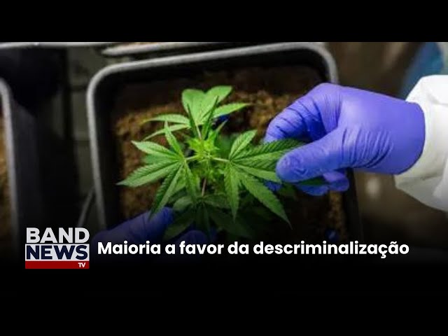 STF volta a discutir hoje porte de maconha | BandNews TV