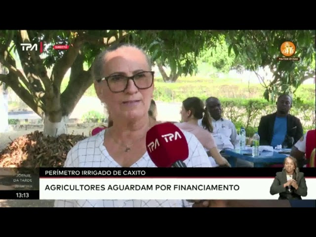 Perímetro irrigado de Caxito - Redução dos níveis de produção preocupa agricultores