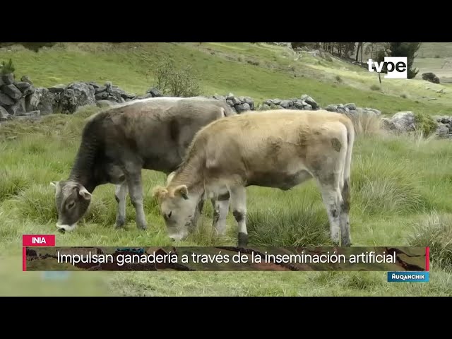 Ñuqanchik (20/06/2024) | TVPerú Noticias