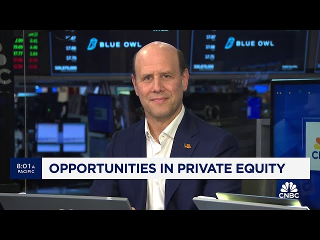 ⁣Blue Owl Capital co-CEO: People are seeking opportunities in alternatives 'because they work�