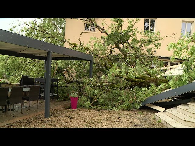 ⁣Orages : des dégâts sur la commune de Lisle