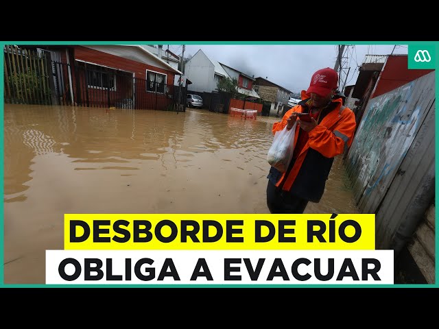 ⁣Lluvia no da tregua: Ordenan evacuación en Curanilahue por nuevo desborde de ríos y esteros