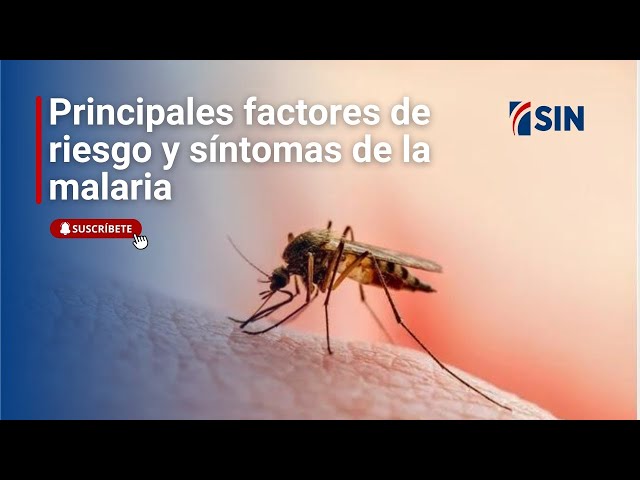 ⁣Principales factores de riesgo y síntomas de la malaria