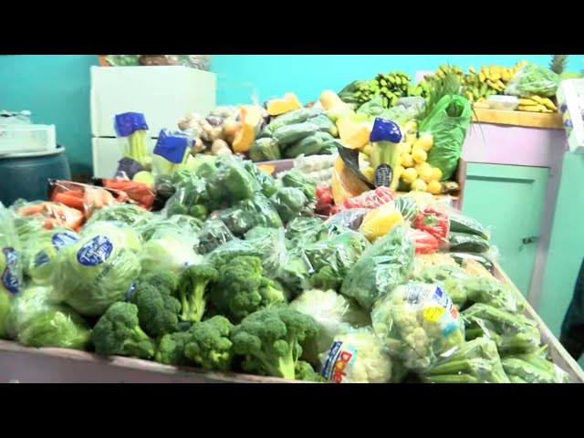 Barbados urged to focus on food security