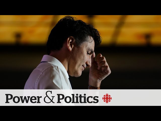⁣Toronto-St. Paul's byelection a critical test for Trudeau | Power Panel