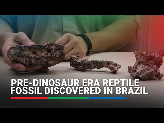 ⁣Pre-dinosaur era reptile fossil discovered in Brazil