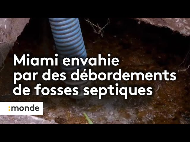 À Miami, les fosses septiques débordent